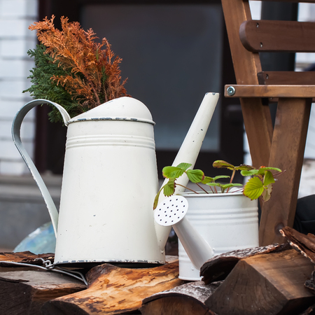 Old watering cans in the garden is decorated in a country style suburban areaの写真素材