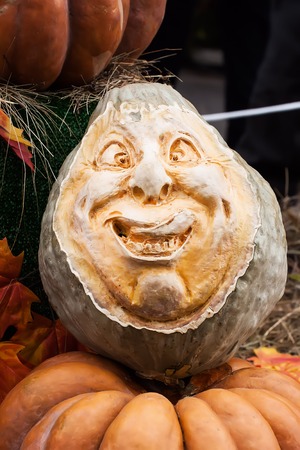 Funny skillfully carved head of pumpkins, decorations for the autumn holidaysの写真素材
