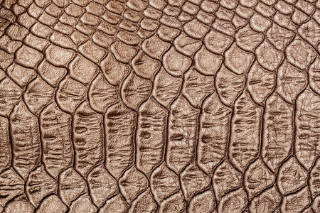 Texture of genuine leather close-up, embossed under the skin a brown crocodile, backgroundの写真素材