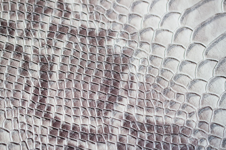 Texture of genuine leather close-up, embossed under the skin a reptile, backgroundの写真素材
