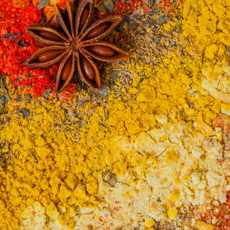 Natural organic spices and herbs, set. Vivid colorful color. Food background with space for your text.の写真素材
