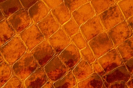Texture of genuine patent leather close-up, embossed under the skin a brown reptile. For modern pattern, wallpaper or banner design. With place for your textの写真素材