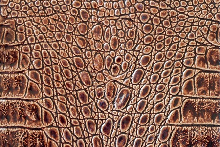 Brown scales macro exotic background, embossed under the skin of a reptile, crocodile. Texture genuine leather close-up, cognac tones, fashion trendの写真素材