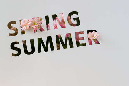 Perforated text on paper card, cutting style, words of Spring, Summer, decorated pink flowers. Copy space . Concept Seasonal events, promotion Retail profile, discountの写真素材