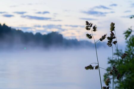 Foggy morning on lake, first rays of the sun. Magic dawn.Silhouettes of forest and coastal grass. Concept of seasons, environment, natural beauty, natural backgroundの写真素材