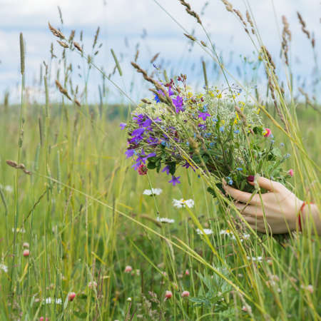 Bouquet of wildflowers in the palms of girl on background of summer meadow with spikelets, ears, sky. Concept of seasons, environmental and ecology, nature, natural backgroundの写真素材