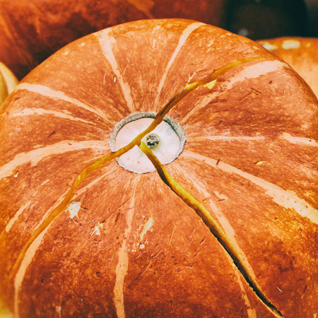 Close-up Ripe orange organic pumpkin with crack, vintage colours. Rustic fall backgroundの写真素材