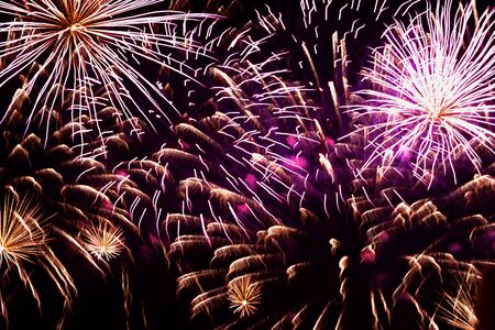 Bright variety of fireworks, like the colorful underwater world of the reef, starfish, corals and starfish. Festive background for all occasionsの写真素材