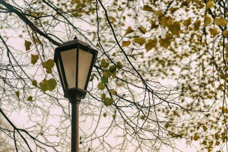Fall background. Metal lantern among yellowed leaves. Park scene in vintage tones. Concept autumn nostalgic mood, melancholyの写真素材