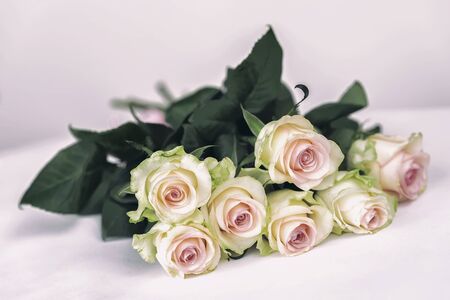 Romantic light bouquet of tender roses, Soft vintage effect. Concept for all festive events, especially for wedding, birthday, Valentines Day, mothers Dayの写真素材