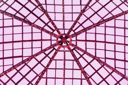 Glass dome with metal frame, armature. Graphic toned texture for Backgroundの写真素材