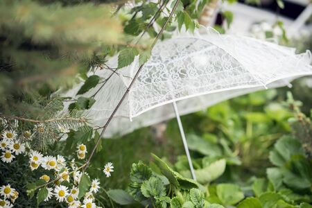 White lace umbrella on the grass close up. Concept of an ancient, rustic picnic, relaxation in summerの写真素材
