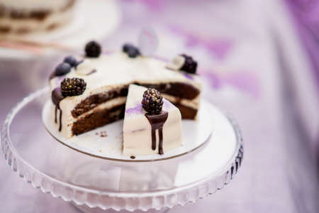 Delicious chocolate cake with cream and blackberries, fresh summer dessert, selective focusの写真素材
