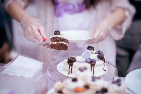 Delicious chocolate slice of cake with cream and blackberries and Different appetizing confectionery, hands of confectioner, Seller. Fresh summer dessert, selective focusの写真素材