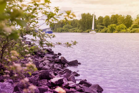 Yacht and ship on background of lake, opposite shore. Summer lake, beach with stones, Summer landscape. Seasons, ecology, beauty of nature, toned backgroundの写真素材