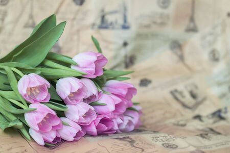 Pink tulips on vintage paper, newspaper. Spring flowers, abstract romantic floral background with copy spaceの写真素材