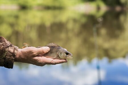 Small perch with a torn off hook on line in palms fisherman. Concept fortune, finance, investment,...