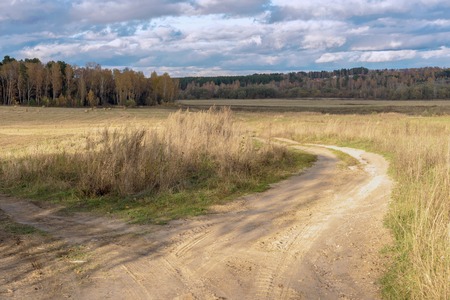 Autumn rustic landscape, path in the field with round straw bales after harvest on background of forest. Sunny day on the countrysideの写真素材