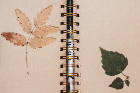 Autumn dry leafs in open notebook, background with copy space for text. Top view. Concept of of...
