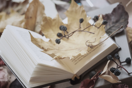 Open book close-up covered among autumn leaves, sunny fall day, vintage background. Top view. Concept of study start, romantic moodの写真素材