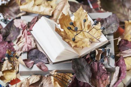 Open book in wooden frame close-up covered with dry autumn leaves, sunny fall day, vintage background. Top view. Concept of romantic mood, school, readingの写真素材