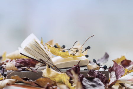 Open book on the windowsill close-up among autumn leaves, copy space, sunny fall day, light...