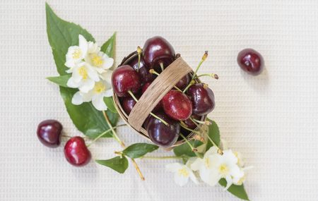 Ripe cherries in a small wicker basket on a light background, flowers and leaves, top view. Concept...