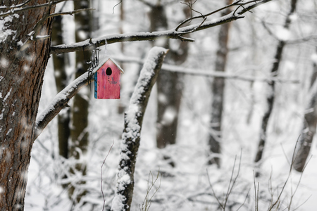 Bright colorful wooden bird feeder close-up covered with snow, winter day in park. Natural winter landscape, copy spaceの写真素材