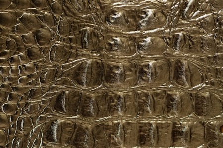 Genuine leather embossed of texture skin crocodileの写真素材