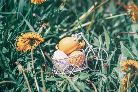 Coloful decorative Easter eggs in a miniature bicycle basket, yellow dandelions blooming meadow in springの写真素材