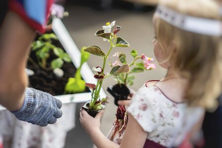 Little girl with seedlings of flowers in plastic pots helps the family in spring outdoor work, planting plantsのeditorial素材