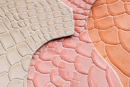 Genuine leather, colorful samples in a different colors, embossed under the skin reptile. Texture...