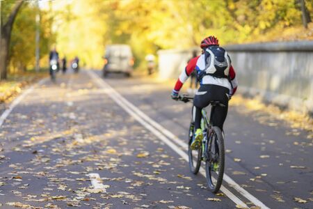 Unrecognizable guy, back to us riding bike in autumn park, bright colorful trees, sunny day, fall foliage. Healthy lifestyle, leisure activityの写真素材
