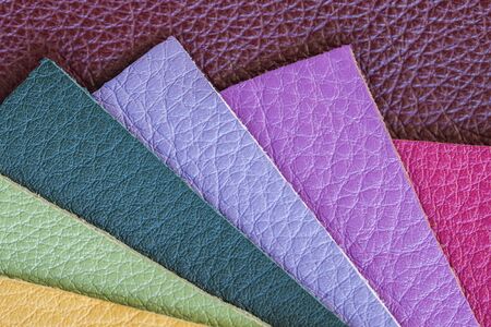 Bright samples of colorful genuine leather, texture, for background.の写真素材