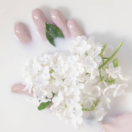 Palm of a girl in a bath with milk and fresh flowers of white lilac closeup, body care, purity, tenderness conceptsの写真素材