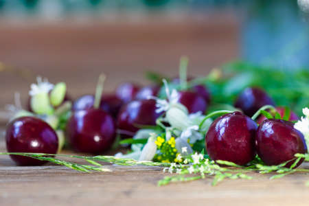 Scattering of large ripe cherry berries, meadow flowers on the wooden background, bokeh and selective focus, seasonal concept, country life, healthy diet, summer harvestの写真素材
