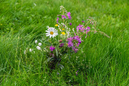 Bouquet of wildflowers close in the green grass, summer conceptの写真素材