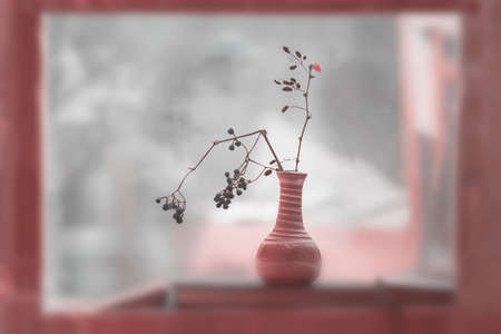 Autumn bouquet of dry branches with berries in a ceramic vase in a wooden window. Abstract blurred background, selective focus. Concept of leaf fall, seasons, lifestyle, country life in a cottageの写真素材