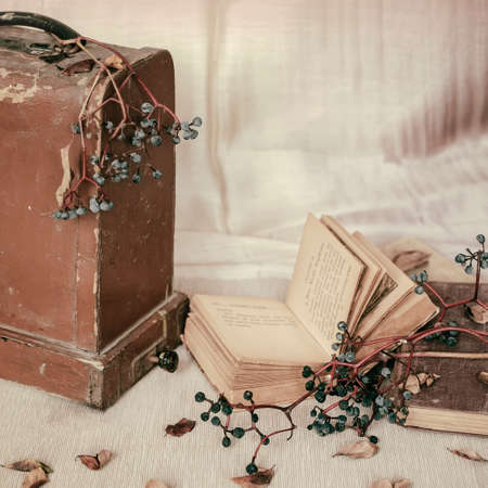 Open old book and wooden trunk, dry wild grapes and leaves. Autumn mood, vintage background.