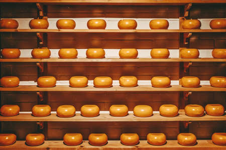 Rows of cheeses on the shelves, show Arrangement in a specialty cheese shopの写真素材