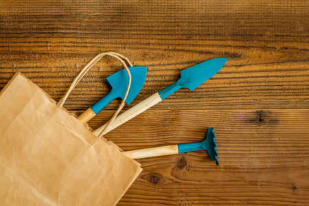 Set of Gardener tools for planting and caring for seedlings on natural wooden background. Top view.の写真素材
