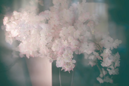 Blurred Sunlit bouquet of apple flowers in vase on dark green backgroundの写真素材