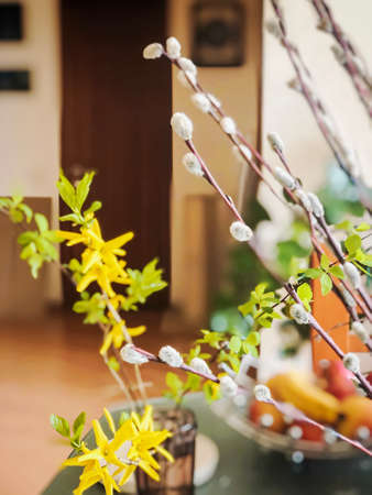 Spring still life with willow branches and flowers, symbol of Easter, selective soft focus. Holiday...