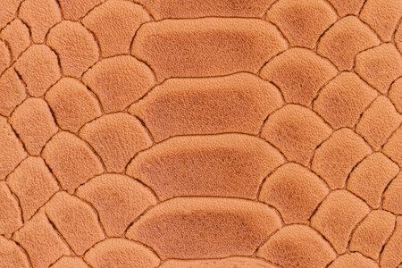 Texture of genuine leather close-up, embossed under skin of brown reptile, croco. natural background, copy spaceの写真素材