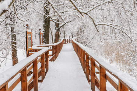 Wooden pathway in winter forest. Snow covered wooden bridge. Foot Bridge on Snowy cold Dayの写真素材