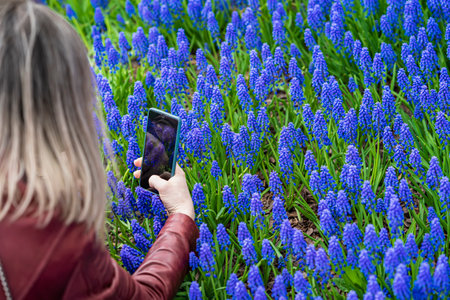 Hand of girl holding mobile phone and taking pictures of spring flowers. Blogging, social media, modern technology conceptの写真素材