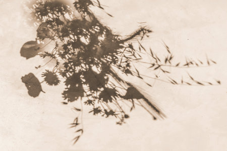 Bouquet flowers, silhouette shadow on old light wall. Abstract background