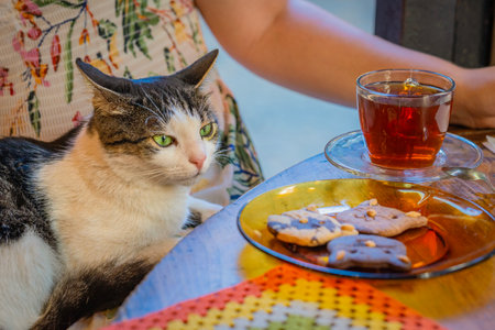 A cat relaxing beside cookies and tea on colorful table in a cozy cafe