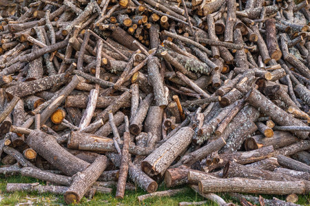 A vast pile of freshly cut logs stacked haphazardly in a timber yard, natural backgroundの写真素材
