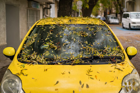 Yellow car covered in autumn leaves, parked on a street under tree, change of seasons conceptの写真素材